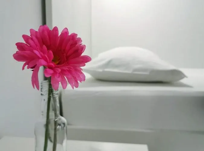 Book'n'hook Hostel *